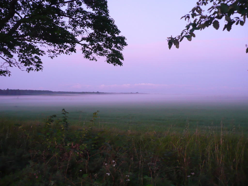 Skogis Bed & Breakfast Katrineholm Zewnętrze zdjęcie