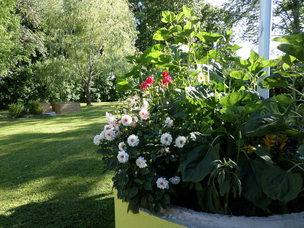 Skogis Bed & Breakfast Katrineholm Zewnętrze zdjęcie