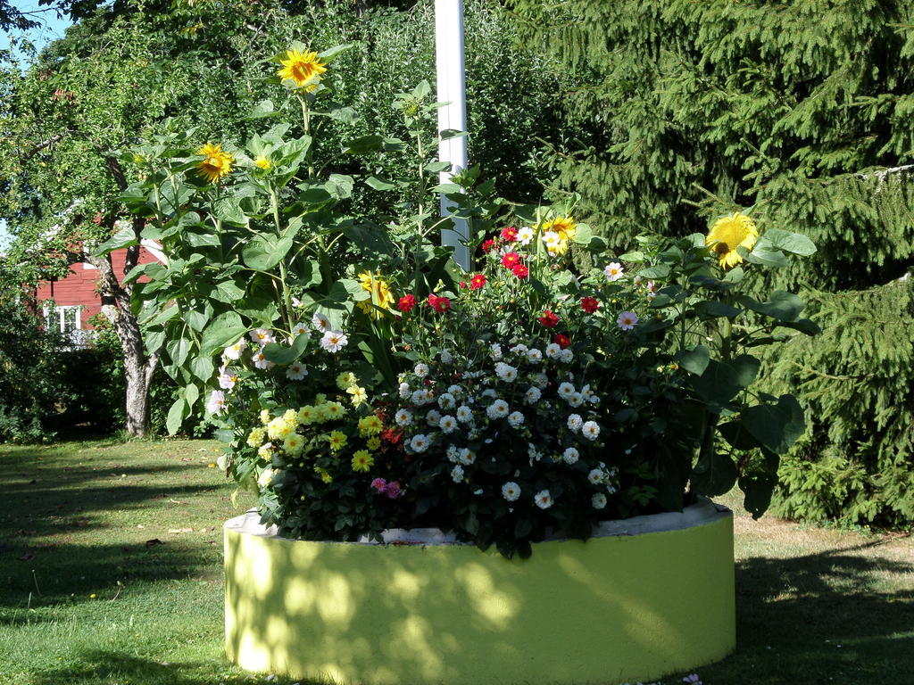 Skogis Bed & Breakfast Katrineholm Zewnętrze zdjęcie