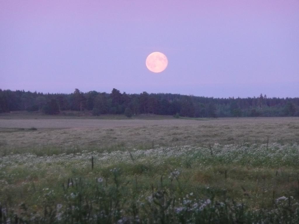 Skogis Bed & Breakfast Katrineholm Zewnętrze zdjęcie