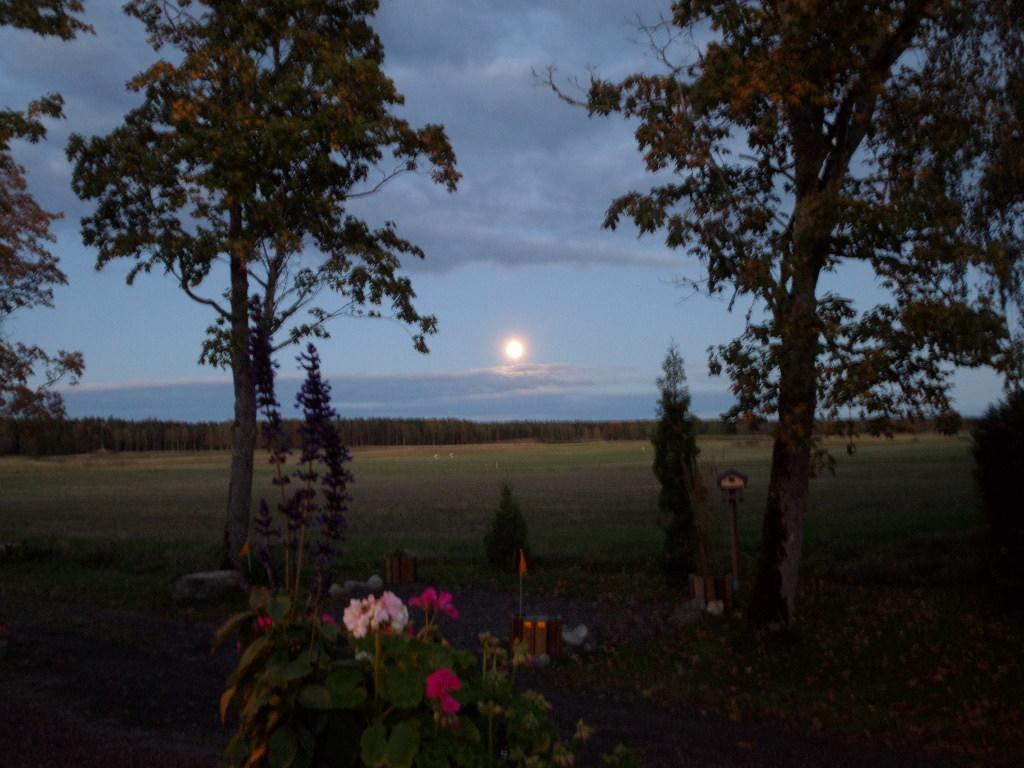 Skogis Bed & Breakfast Katrineholm Zewnętrze zdjęcie